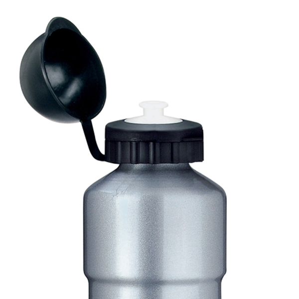 Trinkflasche aus Aluminium (Productno.: PF-19538731)